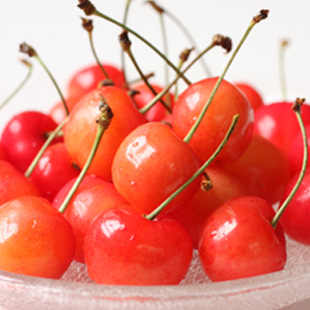 山形県産 さくらんぼ